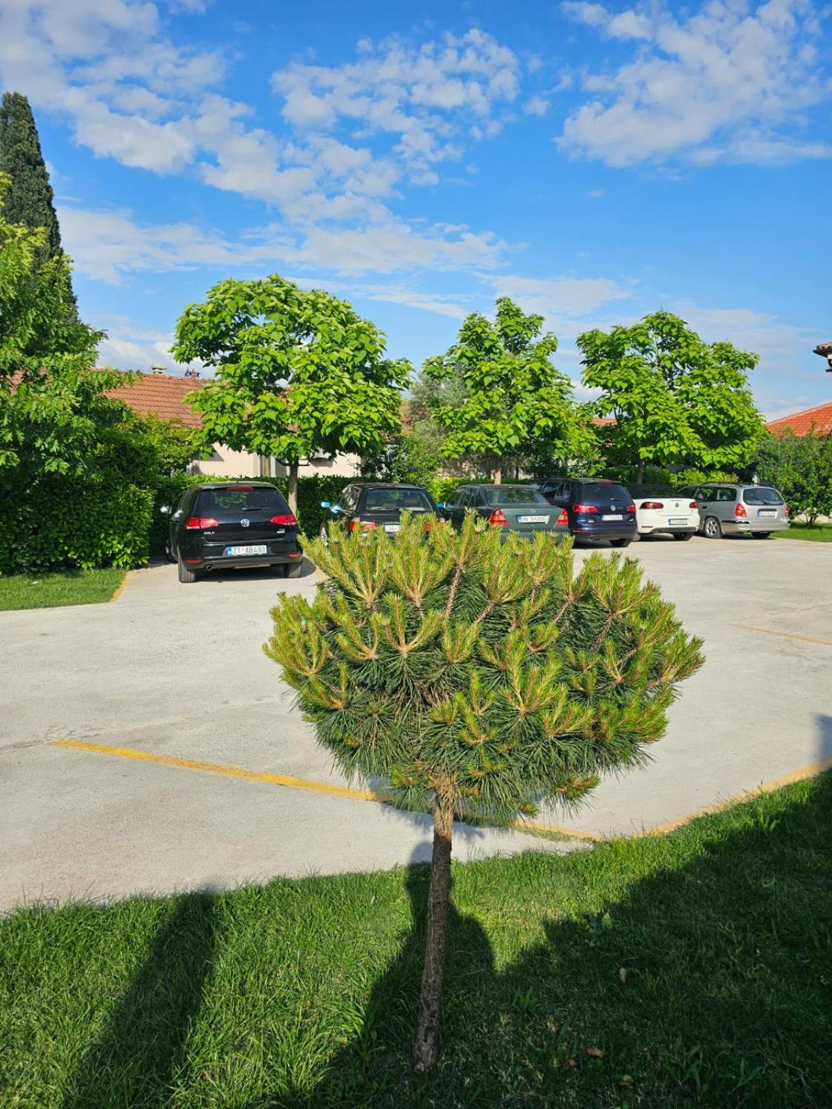 Apartments Aerodrom Podgoriţa Exterior foto
